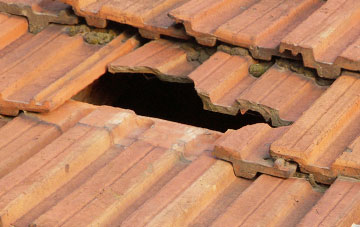 roof repair Runfold, Surrey
