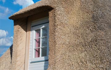 Runfold thatch roof disadvantages